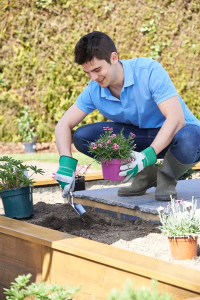 Liggande trädgårdsmästare plantering blomma säng i trädgården — Stockfoto