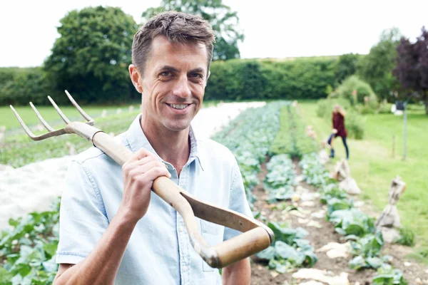 Retrato de los trabajadores agrícolas en el campo orgánico — Foto de Stock