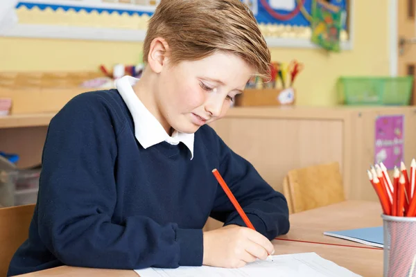 Alumno de la escuela primaria masculina que trabaja en el escritorio —  Fotos de Stock