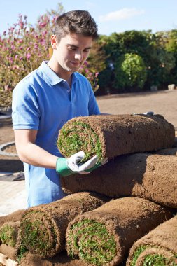 Peyzaj çim üzerinde yeni çim döşeme bahçıvan