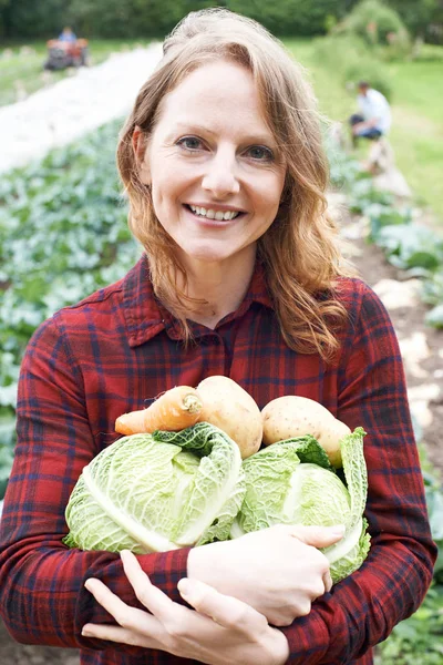 Žena pracující na organické farmě držení produktů — Stock fotografie