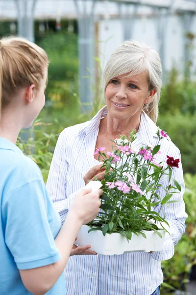 Asesoramiento del personal de la planta de dar a cliente femenino en el centro del jardín — Foto de Stock