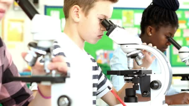 Línea Tres Alumnos Clase Ciencias Usando Microscopios Tomando Notas Sobre — Vídeos de Stock