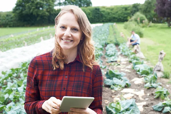 Retrato del trabajador agrícola femenino usando tableta digital en F — Foto de Stock