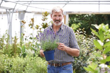 Portrait Of Mature Man Choosing Plants At Garden Center clipart