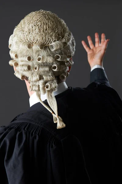 Hátulnézet Barrister, hogy a beszédet a bíróság — Stock Fotó