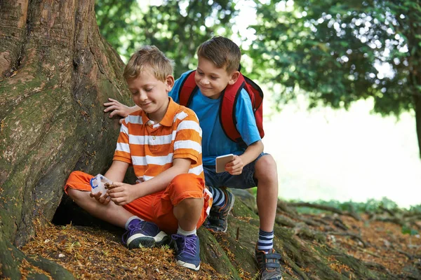Dwóch chłopców znalezienie przedmiotu, podczas gdy Geocaching w lesie — Zdjęcie stockowe
