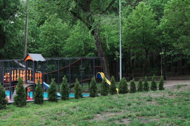 Yaz tatili, parkta temiz hava alarak zaman geçirmek.