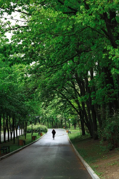 Parkta güzel bir yol, spor ayakkabıları.