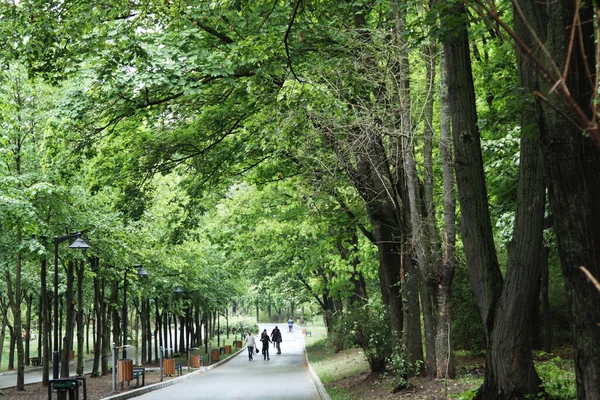  Güzel bir şehir parkında yürümek