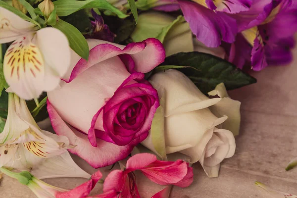 kırmızı ve beyaz Güller