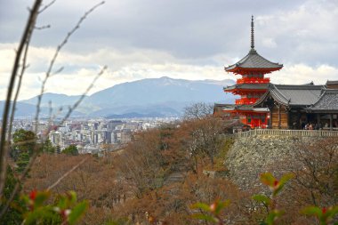JAPONYA KYOTO KRİNE GÖREVİ GÜN GÜN