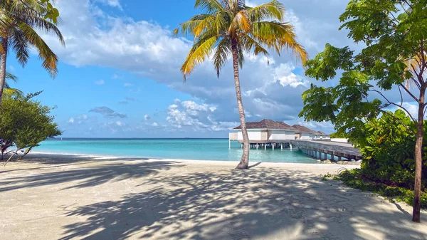 Perfect View Maldivas Beach — Stock Photo, Image