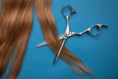 Açık kahverengi saçlı, taraklı, makaslı düz kompozisyon ve renk arkaplanındaki yazı için boşluk. Kuaför servisi.