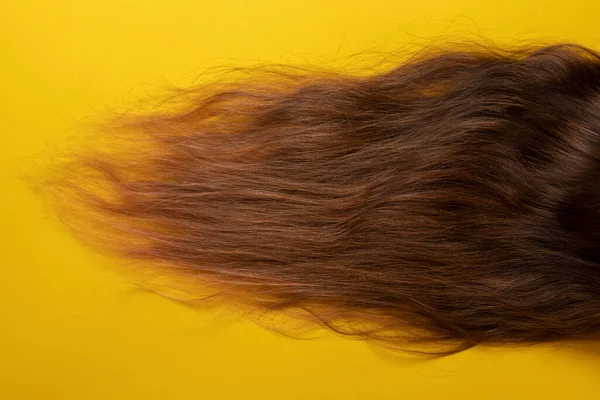 Cabelo Castanho Sobre Fundo Amarelo Conceito Penteado — Fotografia de Stock