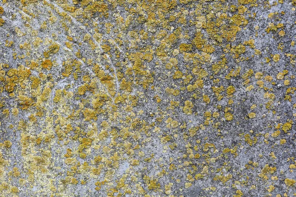 Textura Šedého Kamene — Stock fotografie