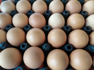 Yumurta dükkanları için plastik panellerdeki yumurtalar