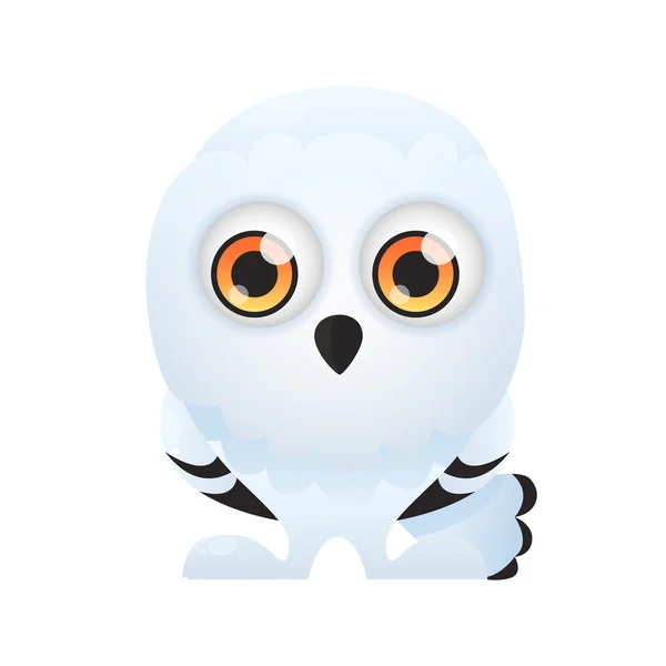 Owl biały na białym tle — Wektor stockowy