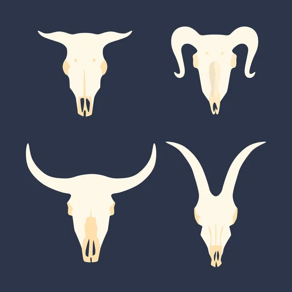 Készlet-ból állat koponyája — Stock Vector
