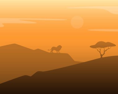 Afrika aslanı