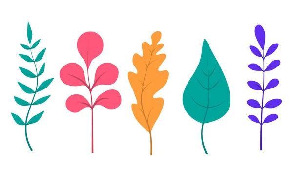 Set of abstract colored leaves and branches. Vector illustration — Stock Vector