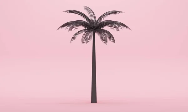 Palmeira Preta Fundo Rosa Design Cenário Minimalista Para Promoção Produtos — Fotografia de Stock