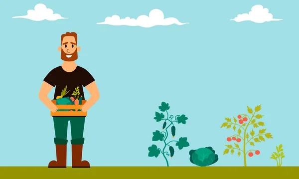 Boer houdt een houten krat met verse groenten op de achtergrond van de tuin. Vectorillustratie — Stockvector