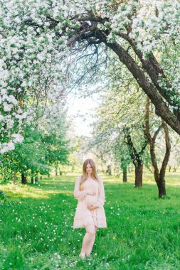 Güzel hamile bir kadın hamile bir karına sarılır ve çiçek açan bir ağaçtan yapraklar düşer..