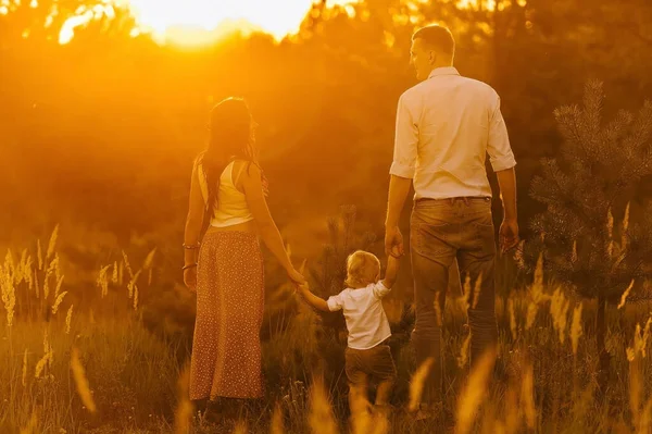 Lycklig Familj Går Solnedgången Fältet Hålla Varandra Hand — Stockfoto