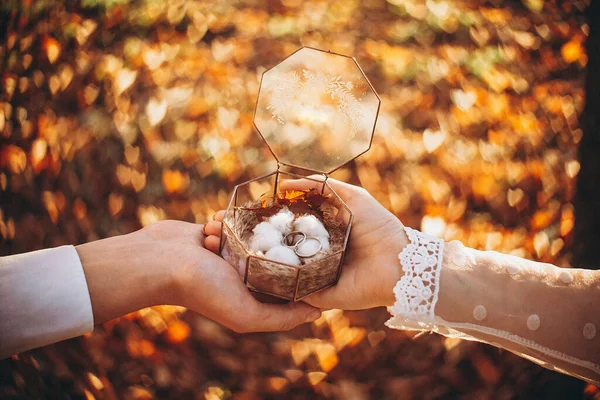 Mooie Bruiloft Achtergrond Man Maakte Een Verrassingsring Geeft Zijn Mooie — Stockfoto