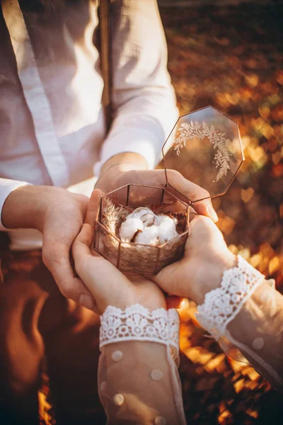 Wedding Rings Stylish Glass Box Decorated Blossom Cotton Blurred Natural — Stock Photo, Image