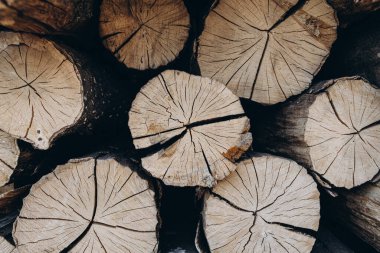 Ateşin ahşap arka planı doğal yakıtı yansıtıyor. Yakacak odun yığını. 