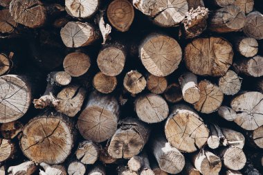 Ateşin ahşap arka planı doğal yakıtı yansıtıyor. Yakacak odun yığını. 
