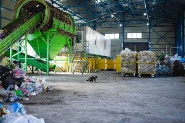 01.11.2019 Kyiv, Ukrayna: fabrikada çöplerin elle sıralanması