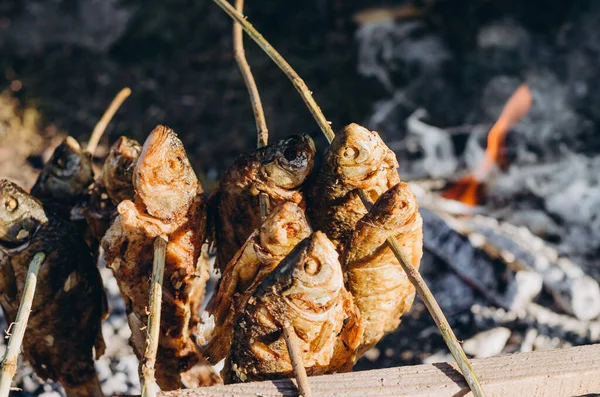 wild fish caught in the lake fried on a fire on wooden sticks. Fish on sticks