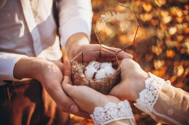 Bir sürü parlak kalp şeklinde bulanık doğal bir arka planı olan pamuk çiçeğiyle süslenmiş şık cam bir kutuda alyanslar.