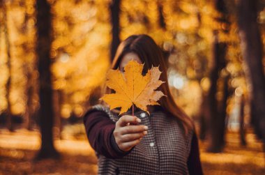 Şık sonbahar kıyafetleri giymiş bir kadın, elinde sarı akçaağaç yaprakları tutuyordu. Ağaçların bulanık arka planında, sonbahar sarısı yaprakları vardı.