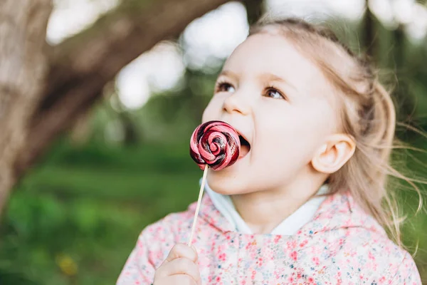 Klein Jarig Meisje Likt Een Gekleurde Wervelende Snoep Een Wandeling — Stockfoto