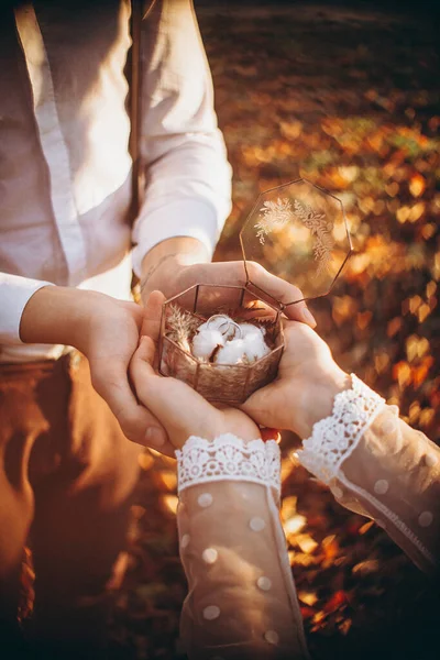 Obrączki Ślubne Stylowym Szklanym Pudełku Ozdobione Kwiatem Bawełny Zamazanym Naturalnym — Zdjęcie stockowe