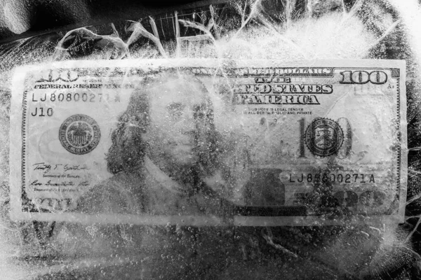 Conceito Dólar Congelado Ponto 100 Dólares Congelados — Fotografia de Stock