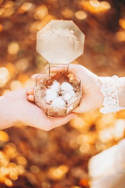 Güzel düğün geçmişi: bir adam sürpriz bir yüzük yaptı güzel kız arkadaşına aşkını ilan etti ve evlenme teklif etti.