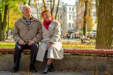 Yaşlı yaşlı çift parkta dinleniyor ve yukarı bakıyor. Boşluğu kopyala