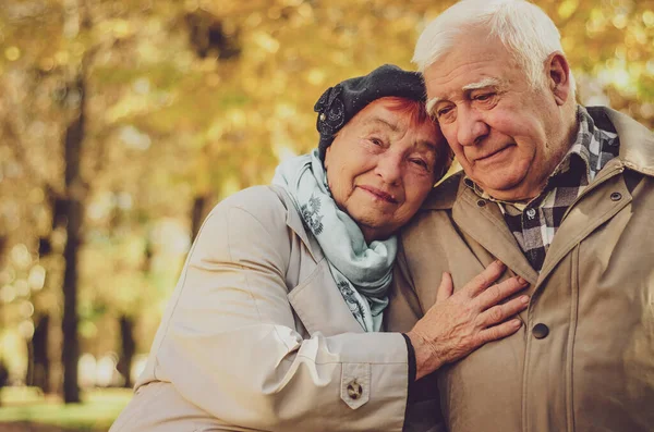 Yaşlı bir çift bankta oturuyor ve üzgün üzgün üzgün aşağı bakıyor. Sum, üzüntü, yaşlılık, can sıkıntısı, acı, kayıp, yıkım duygusu.