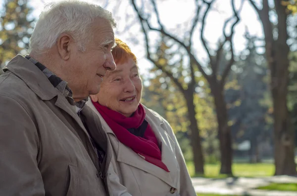 Sonbahar parkında oturan olgun çift konuşuyor, şakalaşıyor, gençliği hatırlıyor ve yukarı bakıyor. Boşluğu kopyala