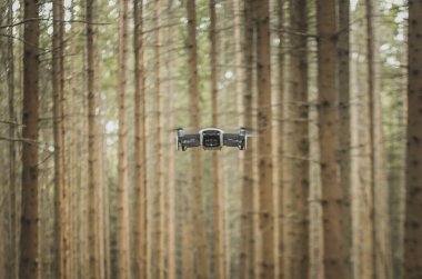 Ormandaki ağaçların arasında uçan bir dron ya da kuadkopter.