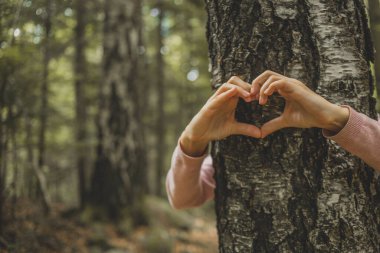 Bir ağacın gövdesinde kalp yapan kadın elleri. Büyük ekoloji kavramları