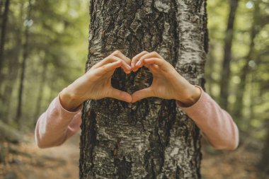 Çocuğun elleri ağaç gövdesinde kalp şekli oluşturuyor. Instagram etkisi