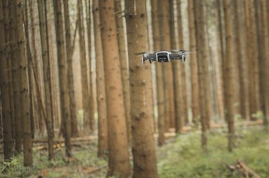 Ormandaki ağaçların arasında uçan bir dron ya da kuadkopter.