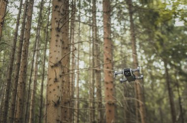 Ormandaki ağaçların arasında uçan bir dron ya da kuadkopter.