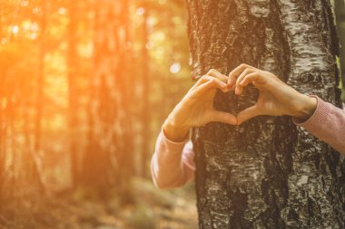 Bir ağacın gövdesinde kalp yapan kadın elleri. Büyük ekoloji kavramları